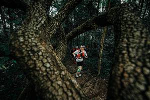 BIB: 
                            <button type="button" onclick="openModal(25681843)" class="btn btn-primary btn-sm float-right btn-popup" data-toggle="modal" data-target=".modal-high-quality">
                        <i class="fas fa-shopping-cart"></i> Add to Cart
                    </button>
                                            <button type="button" onclick="isThisMe(25681843, true)" class="btn btn-success btn-sm float-right btn-popup btn-isme hidden" data-toggle="tooltip" data-placement="bottom" title="นี่คือรูปของคุณใช่ไหม คลิกที่นี่เพื่อเอาเข้าอัลบั้ม">
                        <i class="fas fa-plus"></i> Add to album
                    </button>
                    <button type="button" onclick="isThisMe(25681843, false)" class="btn btn-warning btn-sm float-right btn-popup btn-isnotme hidden">
                        <i class="fas fa-ban"></i> Remove from album
                    </button>